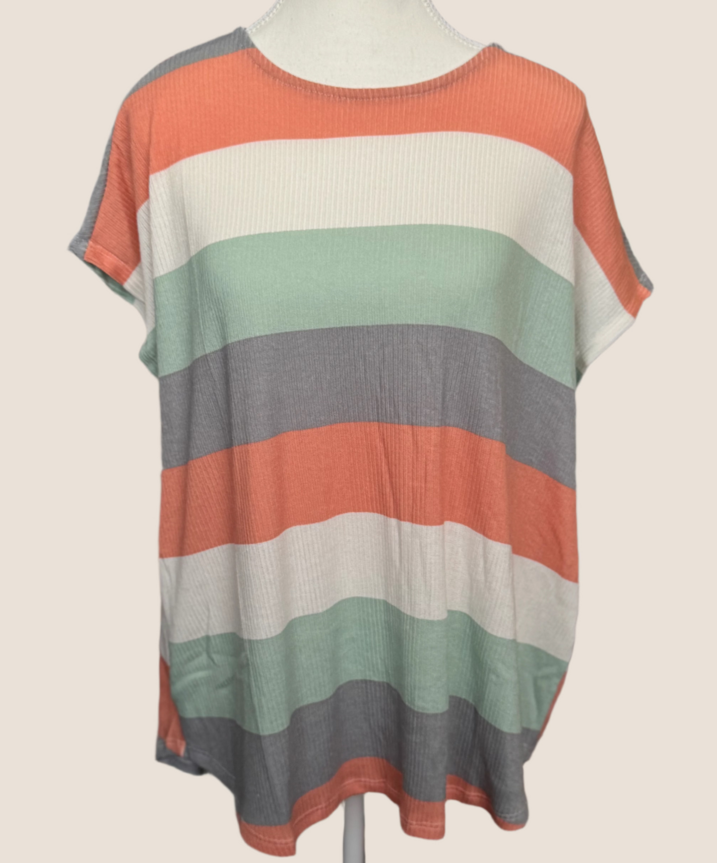 Earth Tone Stripes Top