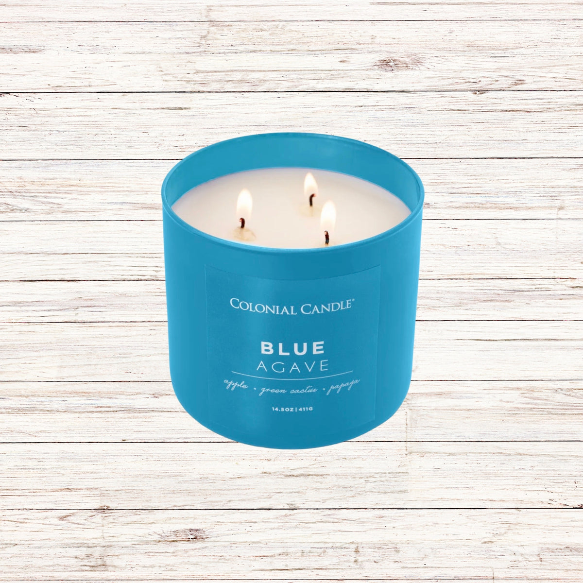COLONIAL CANDLE - Blue Agave