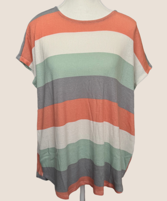 Earth Tone Stripes Top