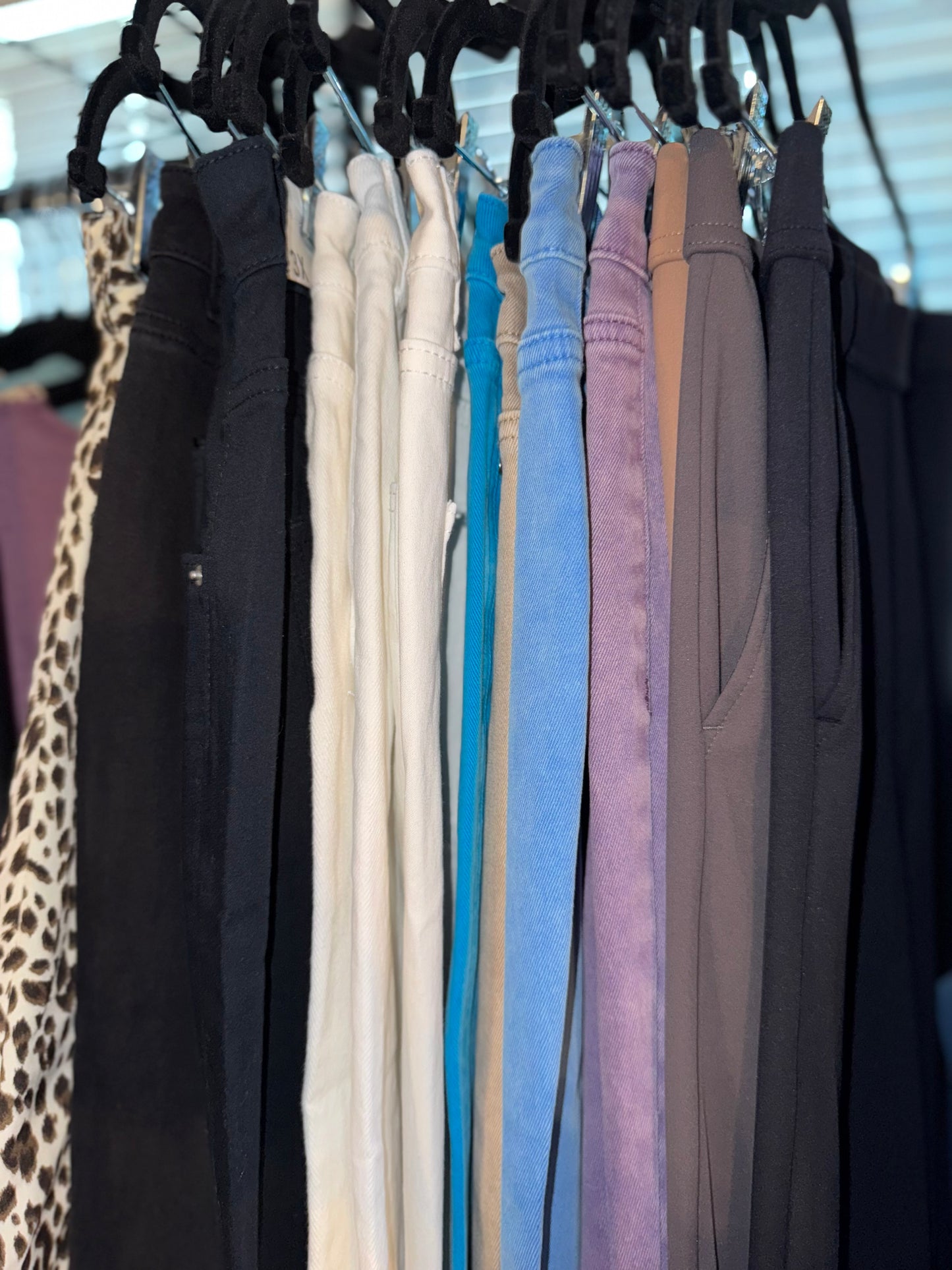 Women’s Color Pants